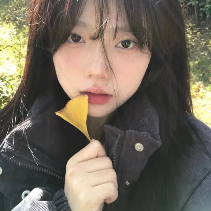 新楚留香